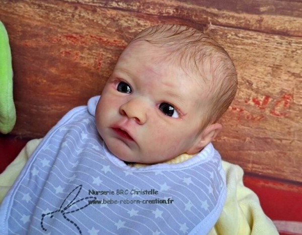 Jasmim bebe-reborn-creation.fr  (5)